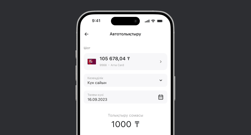 Соманы, кезеңді және ақша түсу көзін енгізіңіз